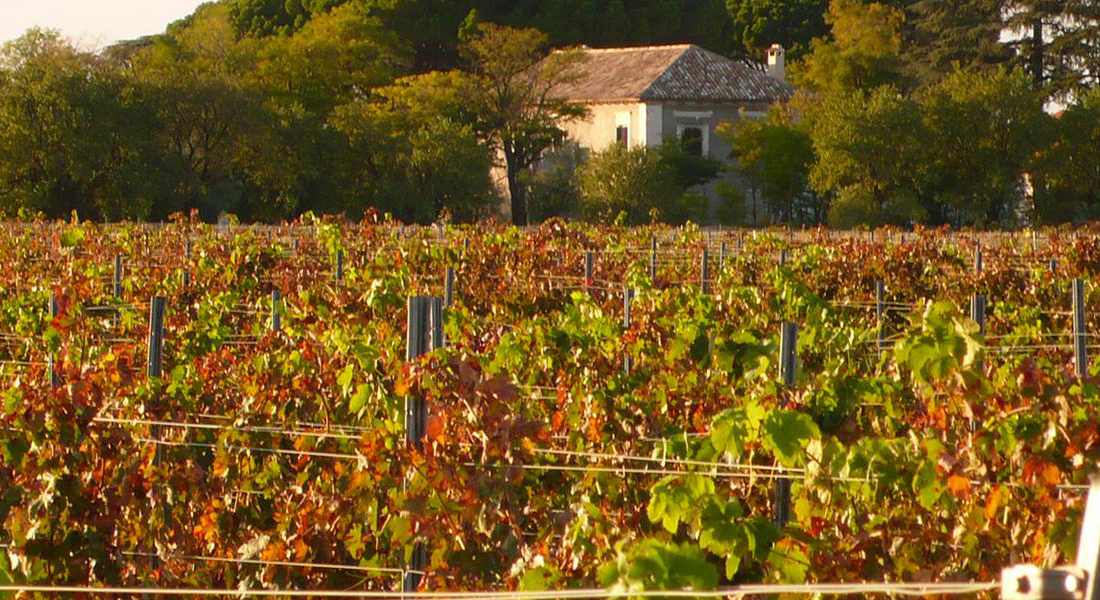 Castilla La Mancha Wine Route - Services in Tomelloso - La Antigua Restaurante