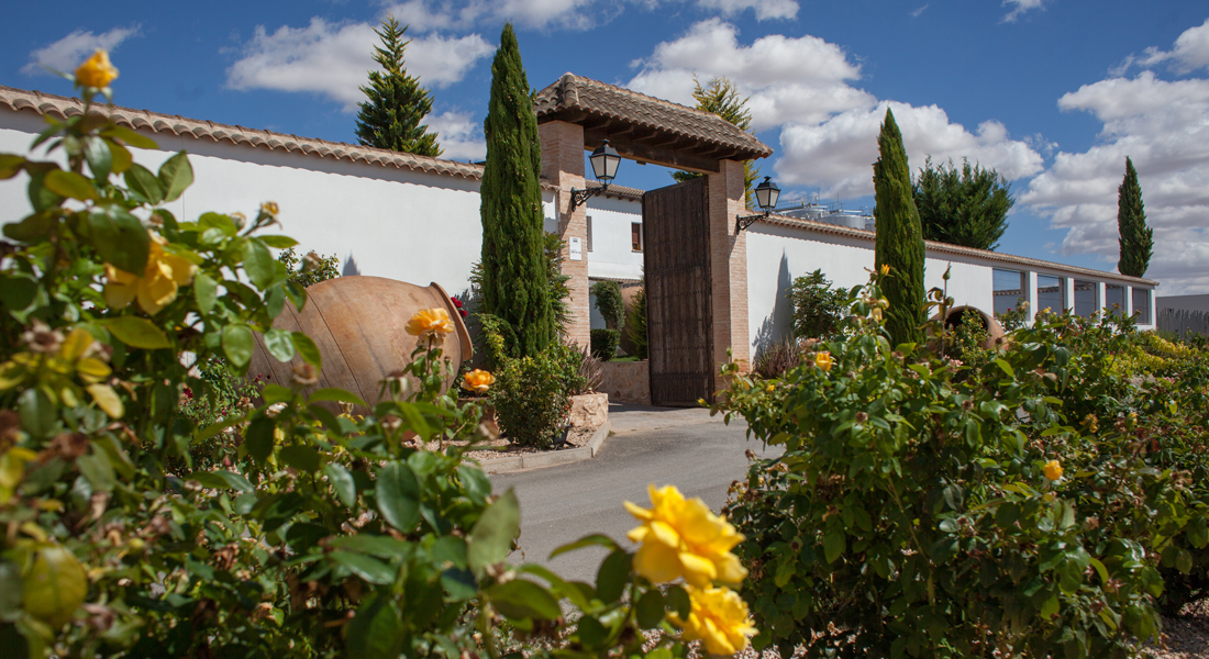 Castilla La Mancha Wine Route - Services in Tomelloso - Bodegas Lahoz