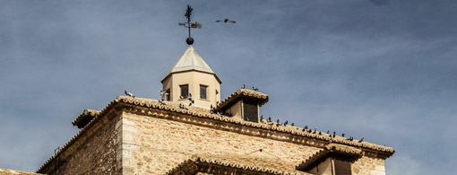 Ruta del Vino Castilla Lam Mancha - Museo y Santuario Virgen de la Viñas